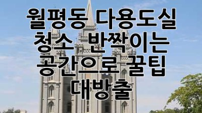 월평동 다용도실 청소, ✨ 반짝이는 공간으로! 꿀팁 대방출 🍯