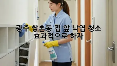광주 쌍촌동 집 앞 낙엽 청소, 효과적으로 하자!